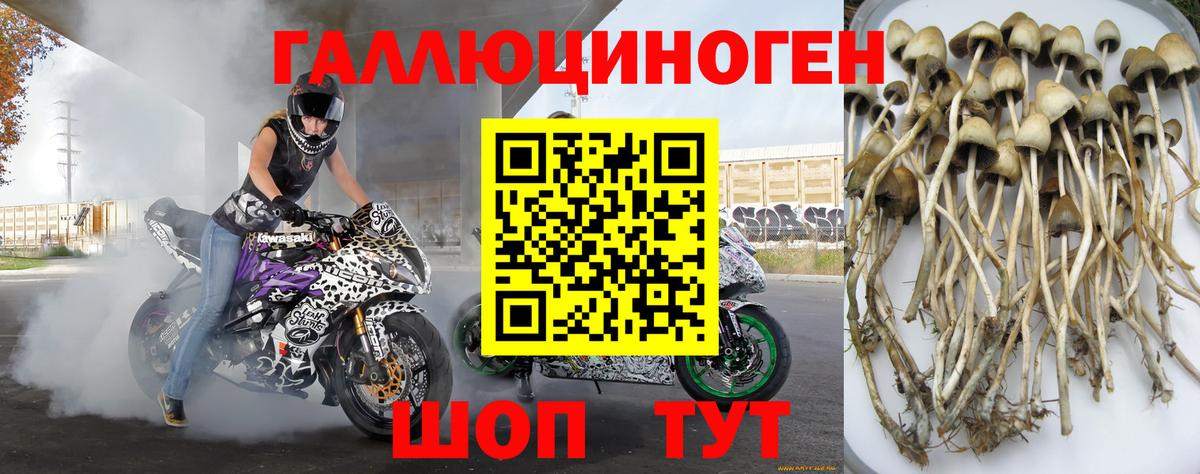 Кстово  Галлюциногенные грибы Psilocybe  Псилоцибиновые грибы MAGIC MUSHROOMS  Вход с VPN 